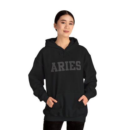 Aries Hoodie