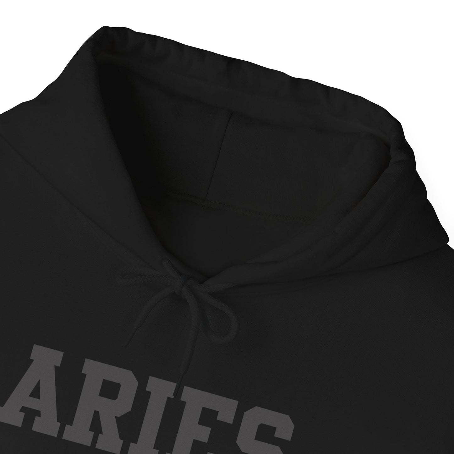 Aries Hoodie