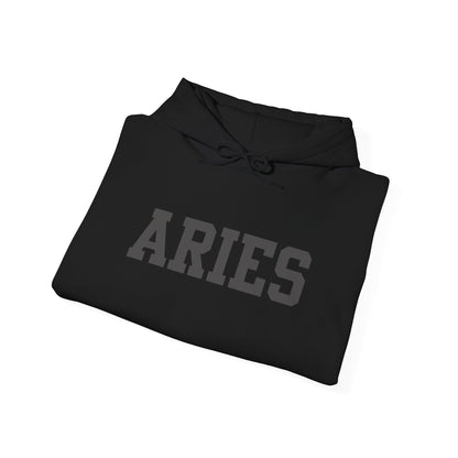 Aries Hoodie